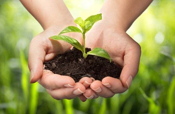 Réduire l’impact environnemental de la Supply Chain, une nécessité !